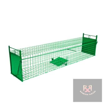 Patkánycsapda sűrű